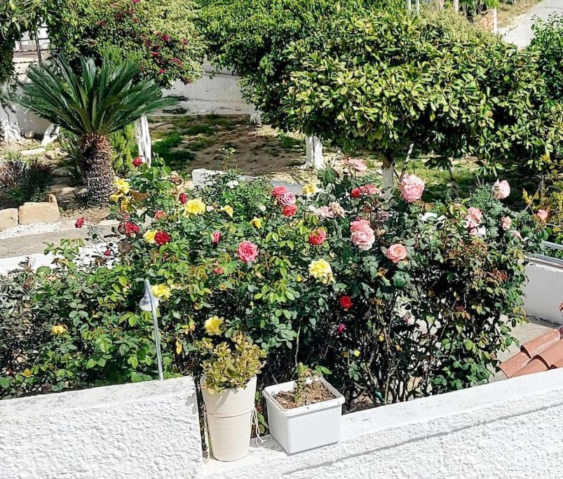 Jacob'S Sunrise Cottage กิสเซมอส ภายนอก รูปภาพ